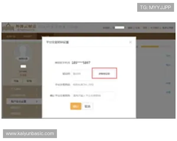 解析开云网页登陆的安全性与优化技巧,保障你的信息安全